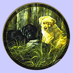 Labrador Pups - Trevor Swanson - Mischief Makers 