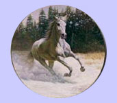 Majestic Spirits - Horse & Pony - Gregory Perillo