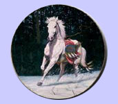 Majestic Spiritis - Nobel Spirit - Horse & Pony - Gregory Perillo