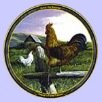 Rollie The Rooster - Farm Animals - Trevor Swanson